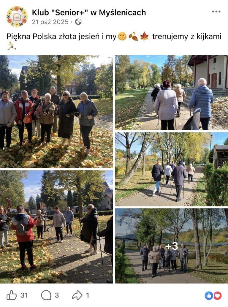 nordic walking